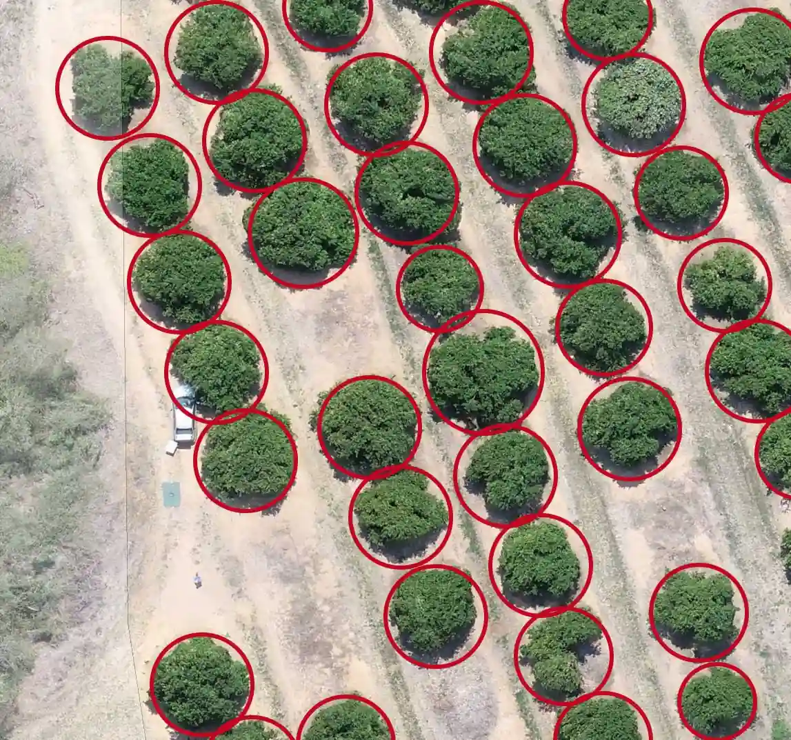 Agritech data validation results